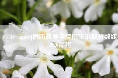 杭州消防救援学院招生录取分数线2020福建