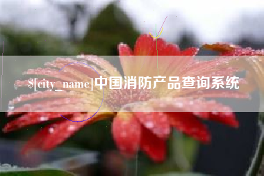 杭州中国消防产品查询系统