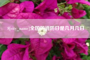 杭州全国的消防日是几月几日