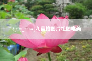 杭州九宫格图片组图唯美