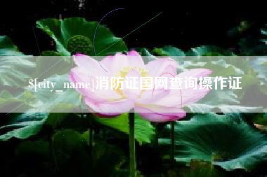杭州消防证国网查询操作证