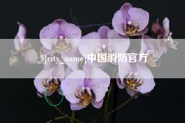 杭州中国消防官方