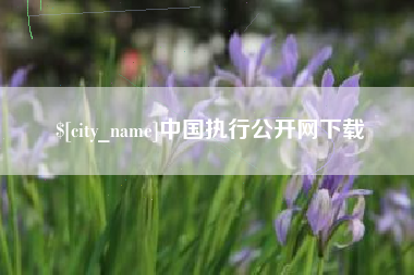杭州中国执行公开网下载
