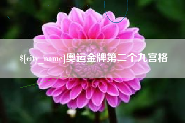 杭州奥运金牌第二个九宫格