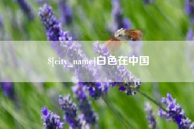 杭州白色在中国