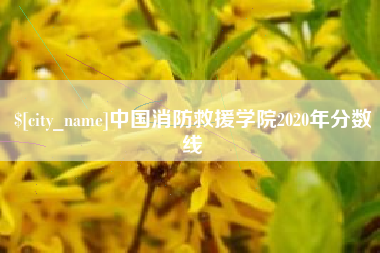 杭州中国消防救援学院2020年分数线