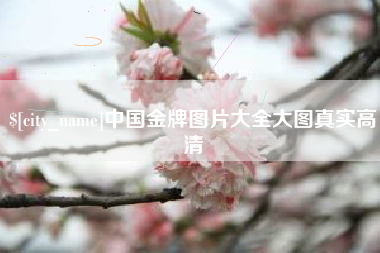 杭州中国金牌图片大全大图真实高清