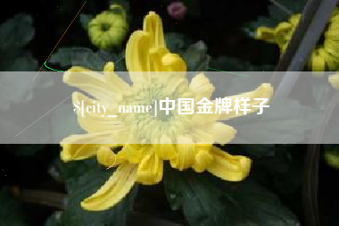 杭州中国金牌样子