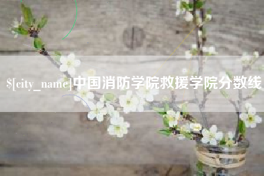 杭州中国消防学院救援学院分数线