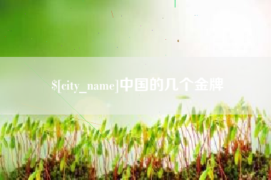 杭州中国的几个金牌