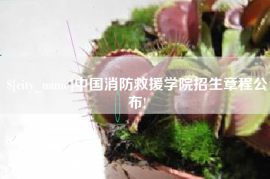 杭州中国消防救援学院招生章程公布!