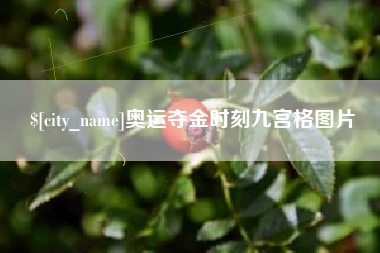 杭州奥运夺金时刻九宫格图片