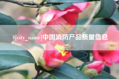 杭州中国消防产品质量信息