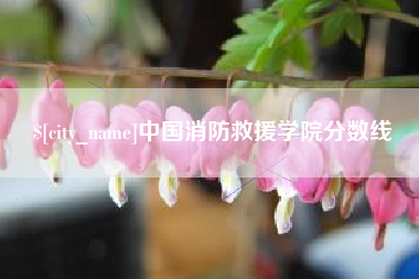 杭州中国消防救援学院分数线