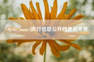 杭州执行信息公开网查询免费