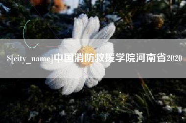 杭州中国消防救援学院河南省2020